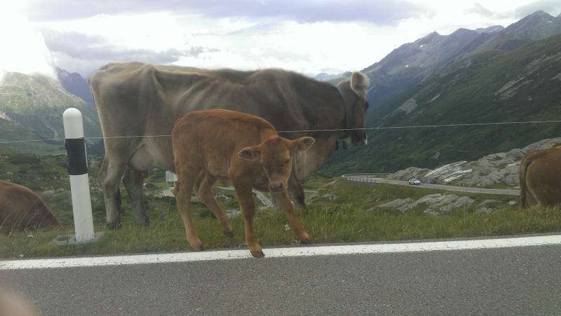Illustration for article titled Alps road trip